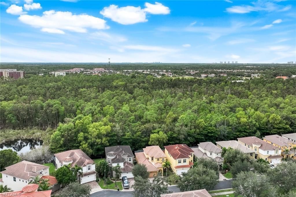 10253 S Silver Palm Dr, Estero, FL 33928 Photo