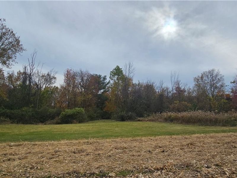 V/L State Route 18, Wellington, OH 44090 Photo 6