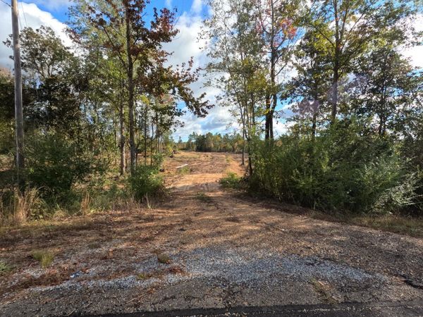 William Warren Road, Collins, MS 39428