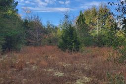 Lot 5 Water Tank Road photo 4