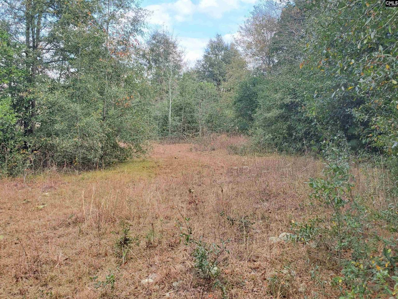 Lot 5 Water Tank Road Photo 4