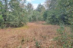 Lot 5 Water Tank Road photo 4