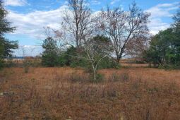 Lot 5 Water Tank Road photo 4