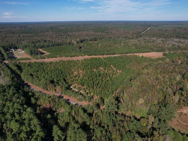 TBD Sand Plant Rd., Nichols, SC 29581
