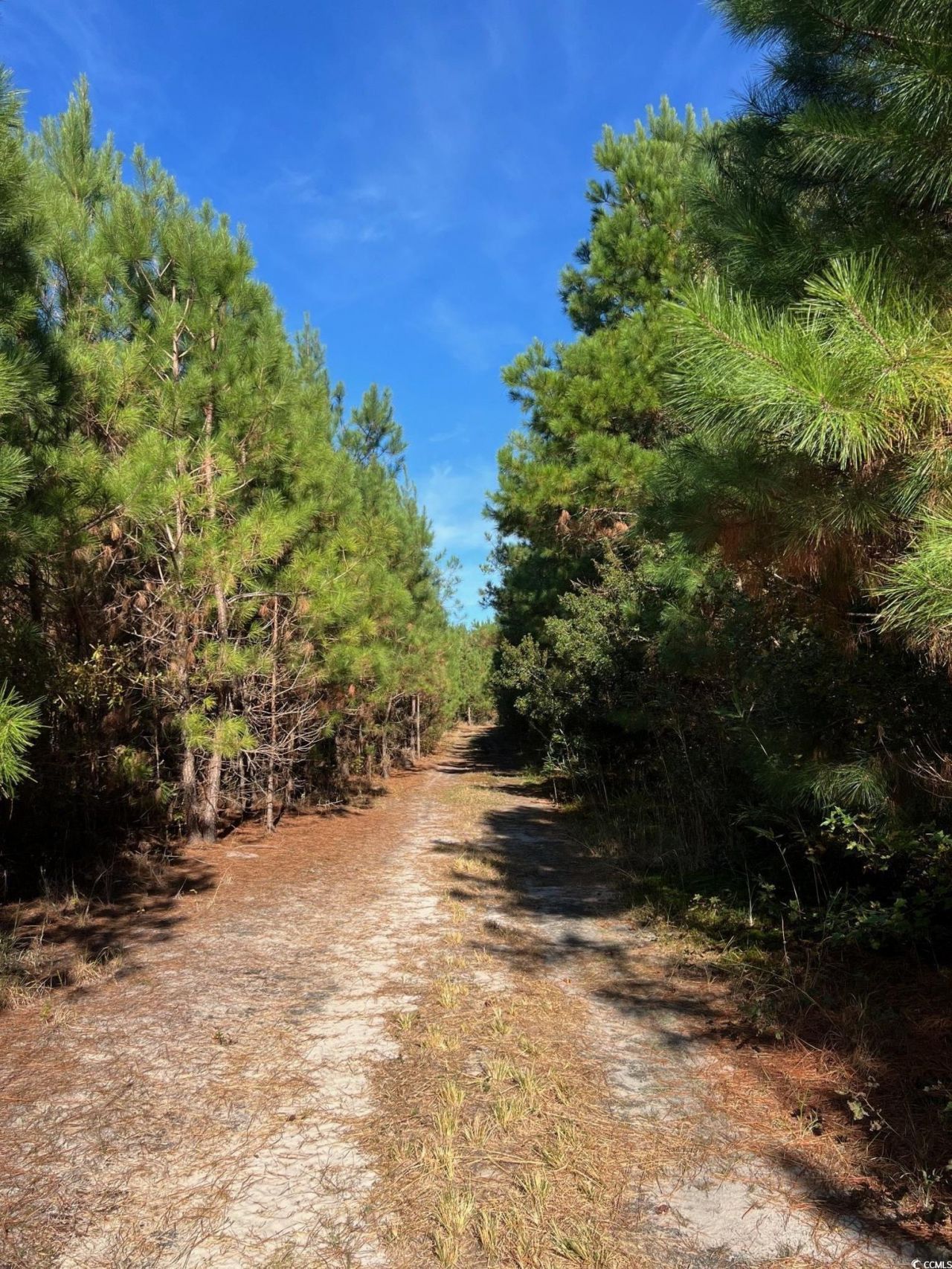 Tbd Sand Plant Rd. Photo 16