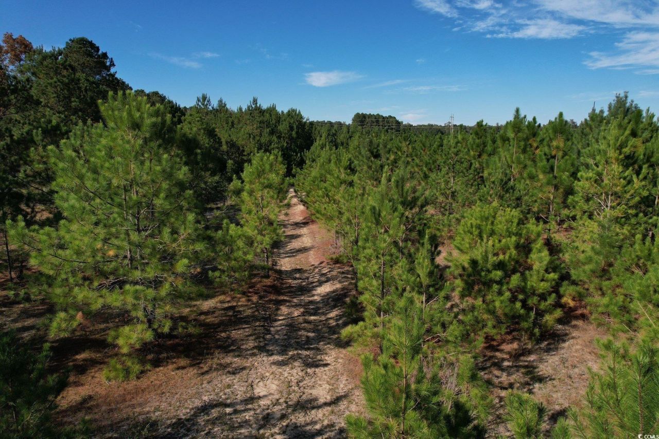 Tbd Sand Plant Rd. Photo 19