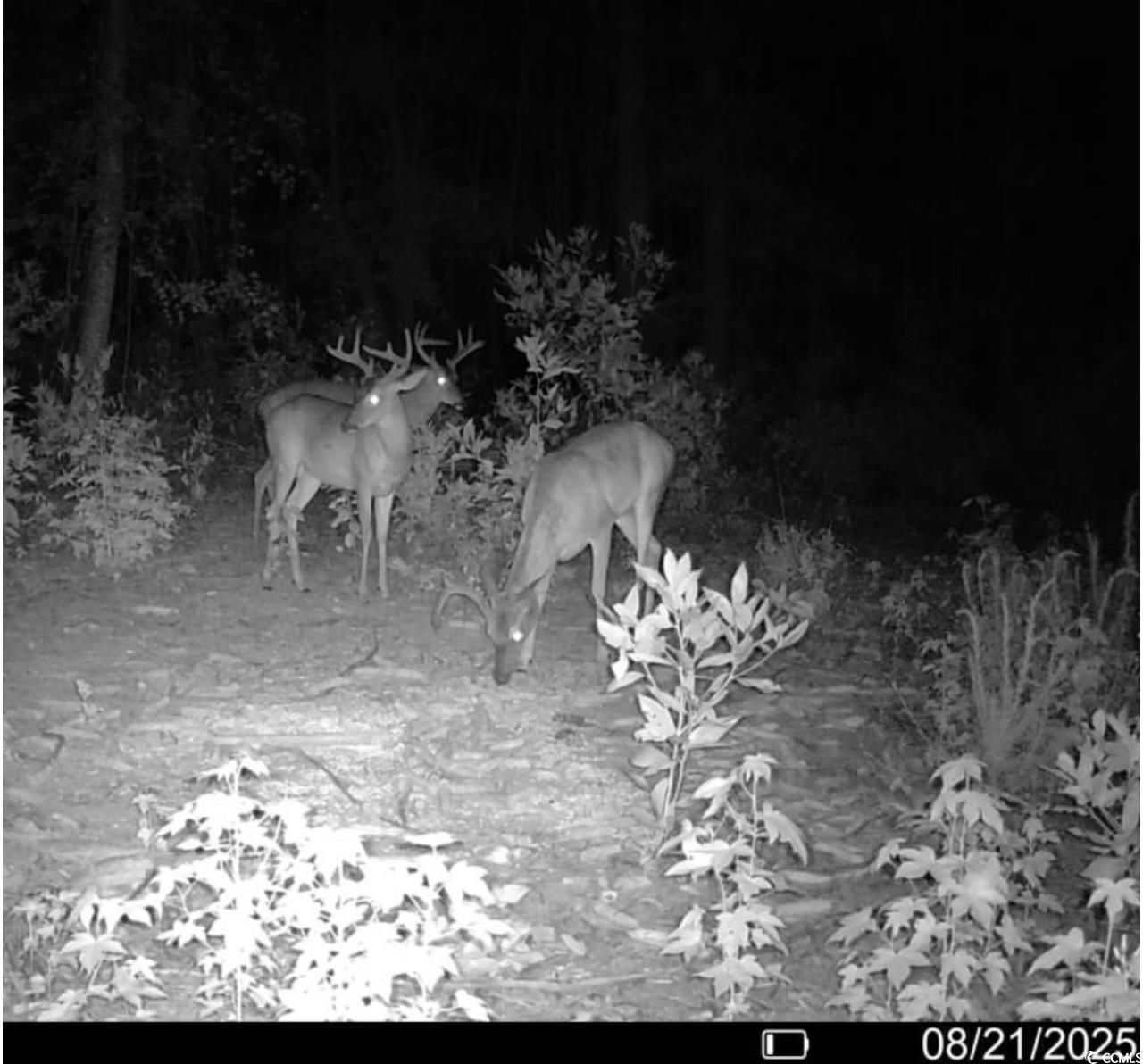 Tbd Sand Plant Rd. Photo 23