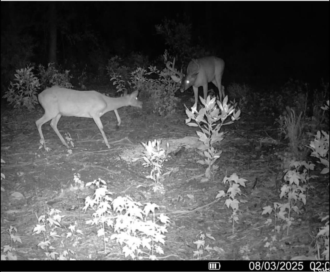 Tbd Sand Plant Rd. Photo 24