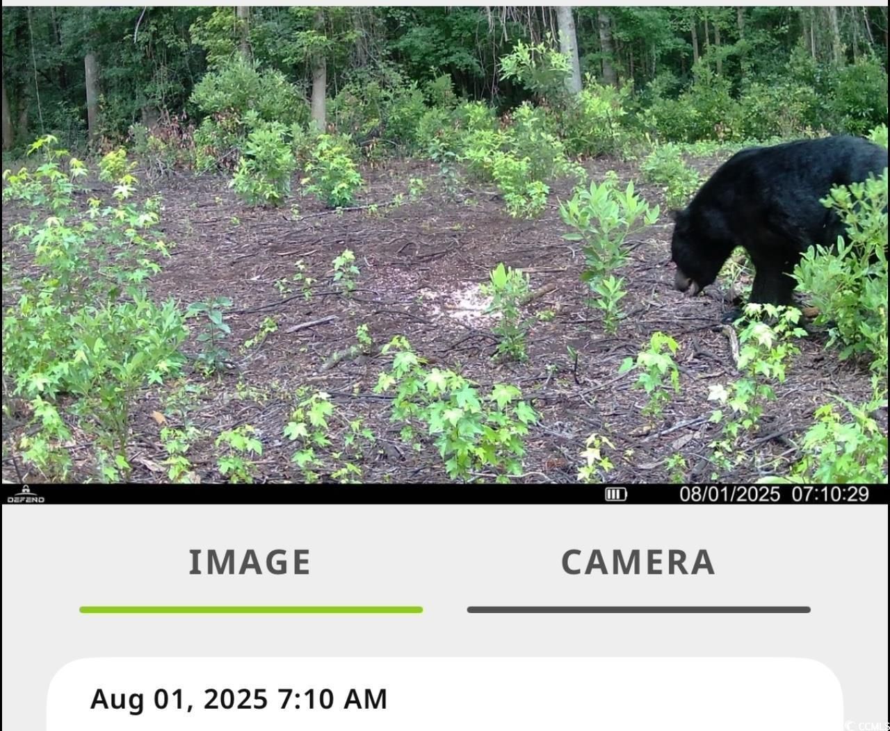 Tbd Sand Plant Rd. Photo 25