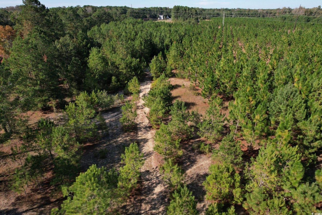 Tbd Sand Plant Rd. Photo 31