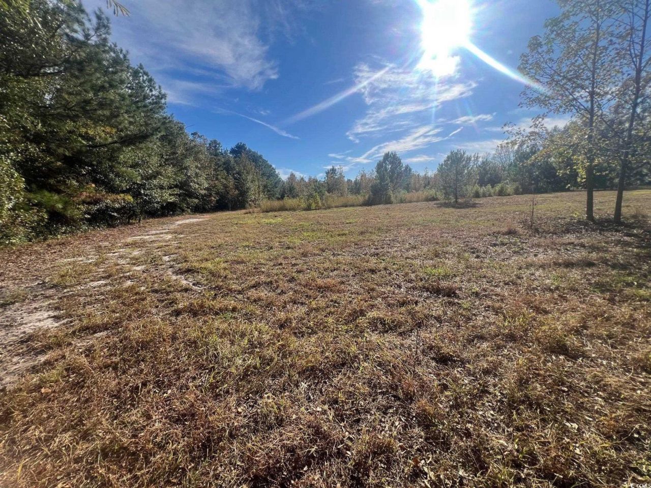 Tbd Sand Plant Rd. Photo 32