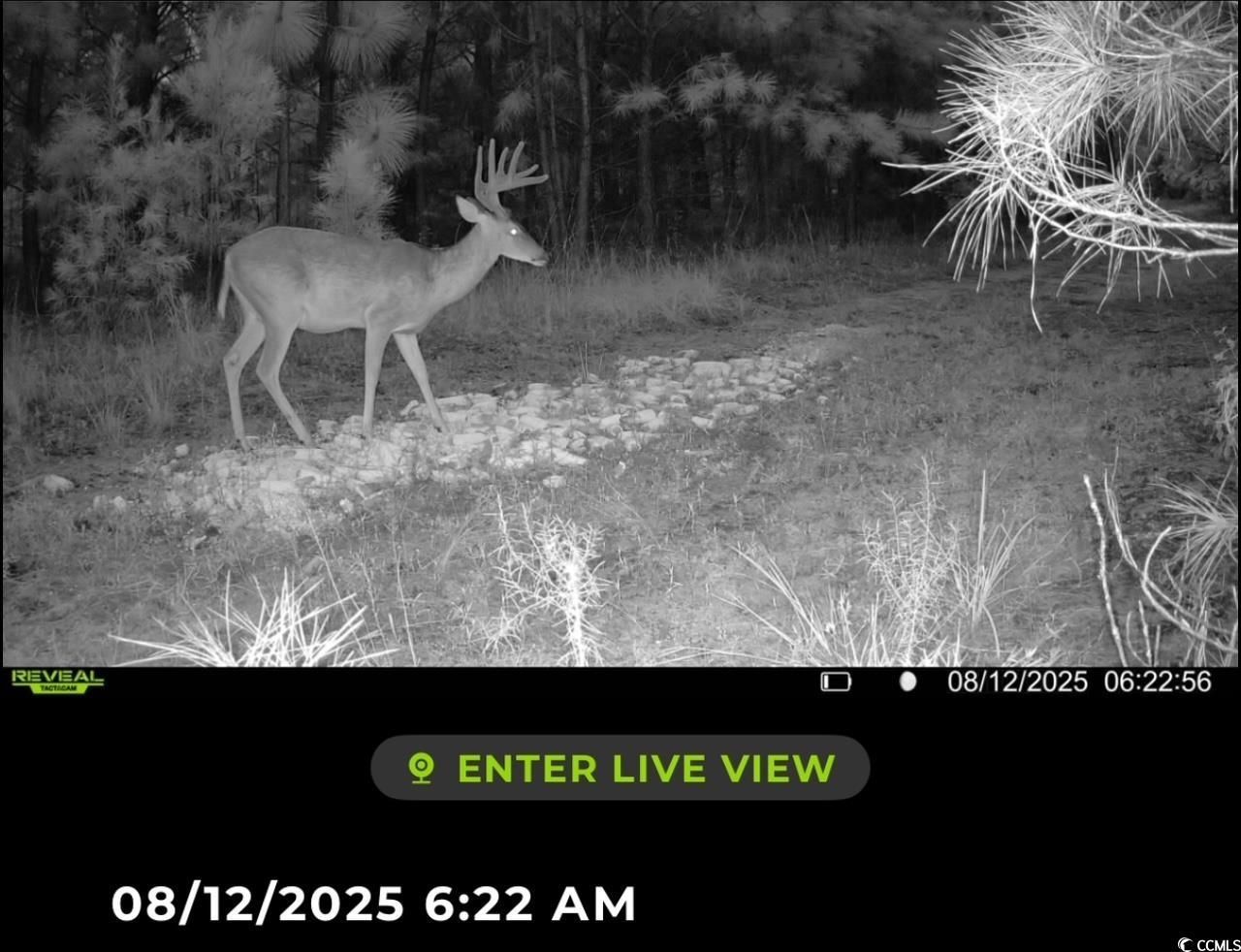 Tbd Sand Plant Rd. Photo 36