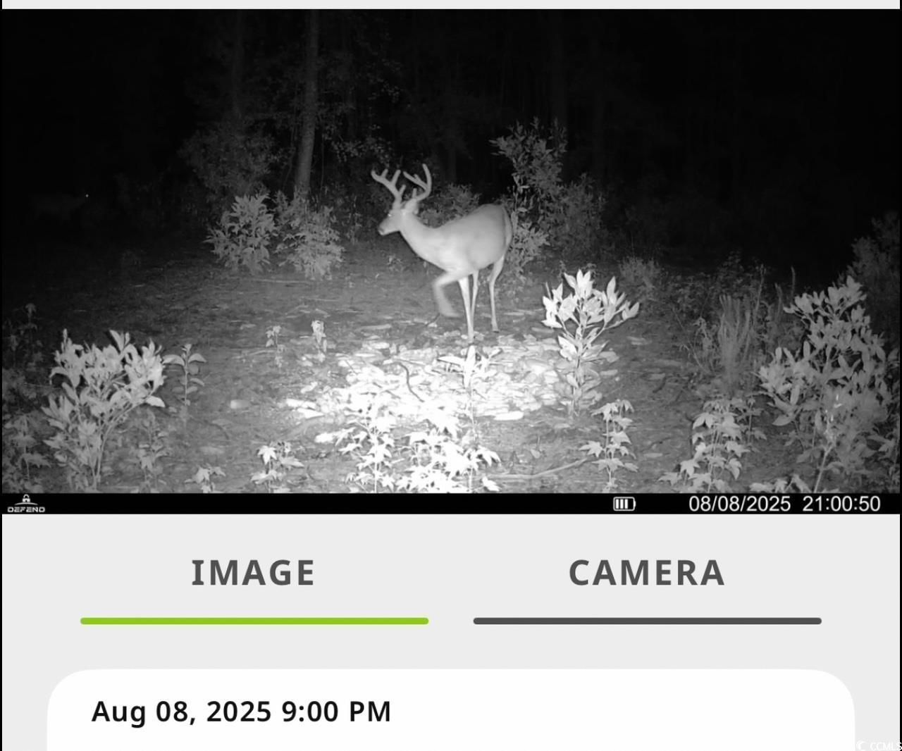 Tbd Sand Plant Rd. Photo 37