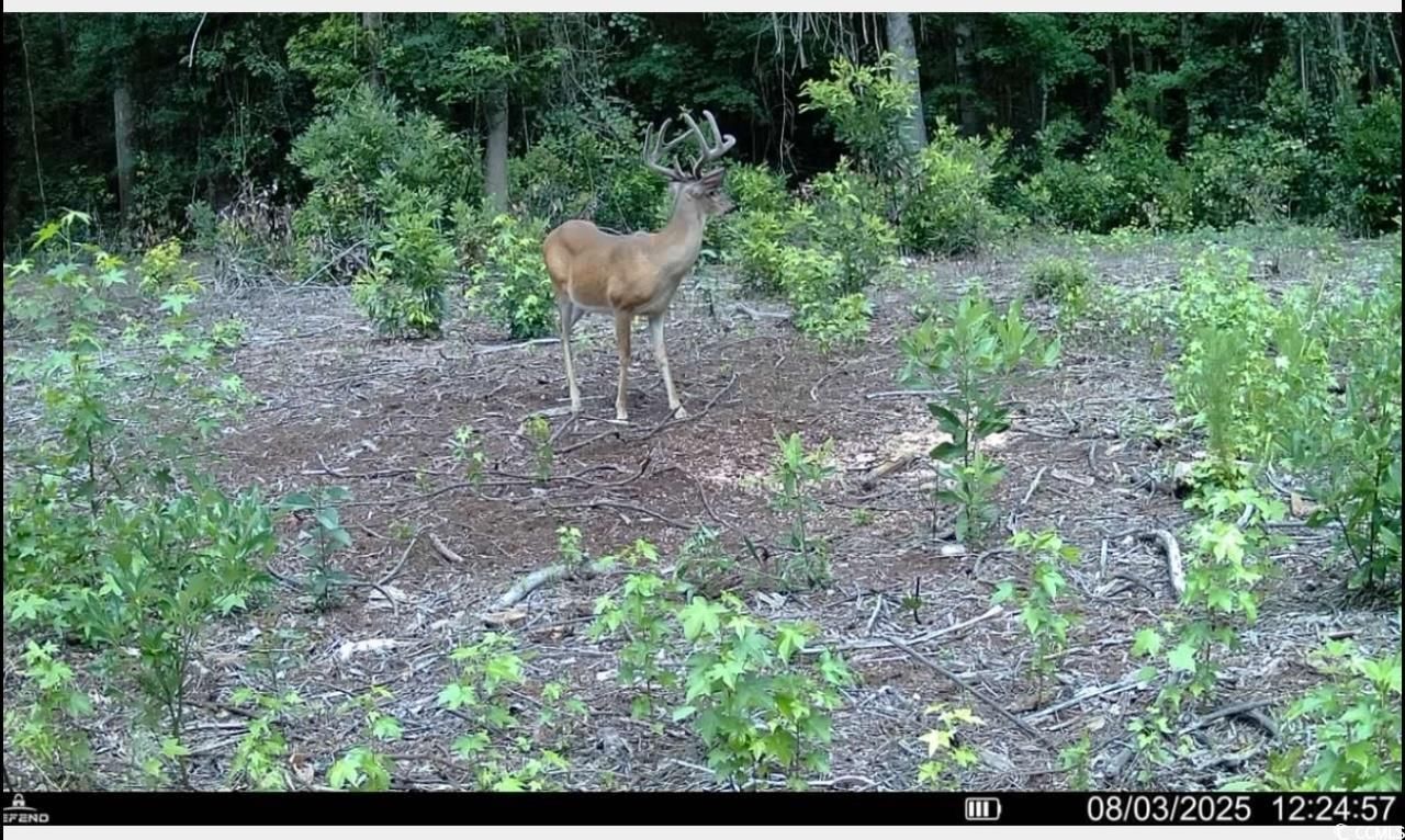 Tbd Sand Plant Rd. Photo 38