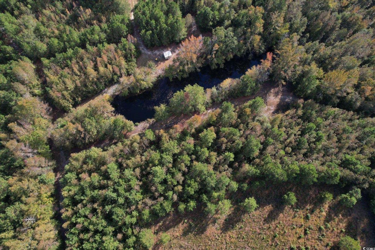 Tbd Sand Plant Rd. Photo 6