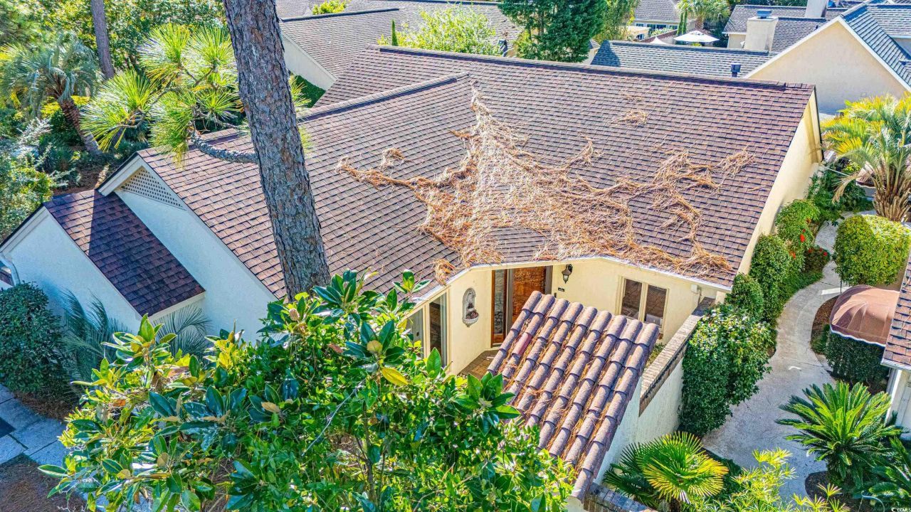 10 Martinique Dr. Photo 36