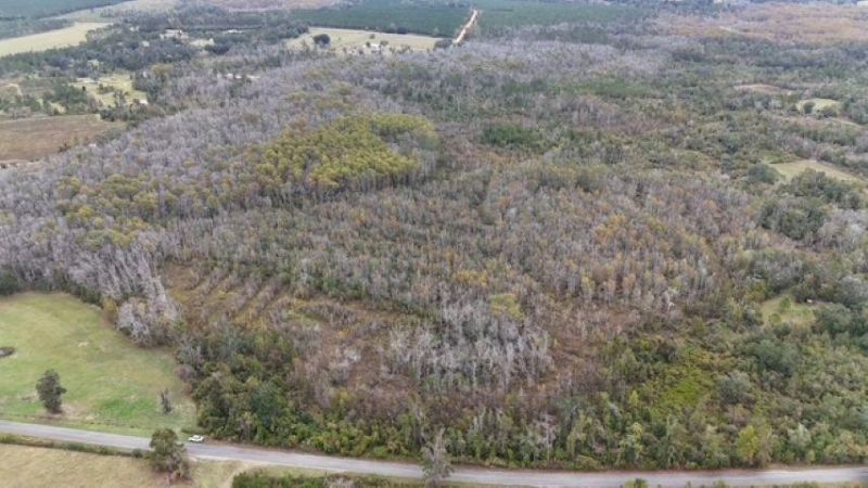 650 NW Florwers Rd Road, Madison, FL 32340 Photo