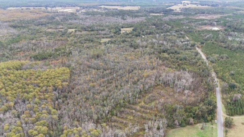 650 NW Florwers Rd Road, Madison, FL 32340 Photo