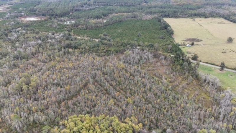 650 NW Florwers Rd Road, Madison, FL 32340 Photo