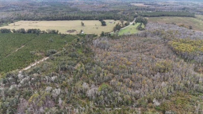 650 NW Florwers Rd Road, Madison, FL 32340 Photo