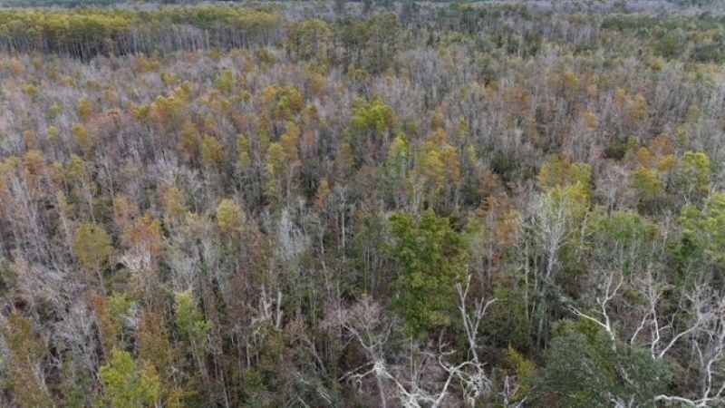 650 NW Florwers Rd Road, Madison, FL 32340 Photo