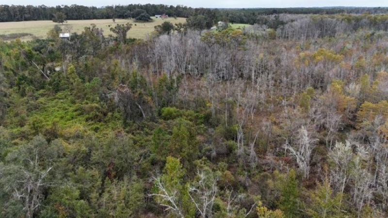 650 NW Florwers Rd Road, Madison, FL 32340 Photo