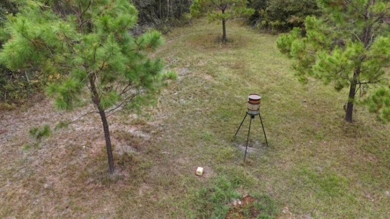 650 NW Florwers Rd Road, Madison, FL 32340 Photo