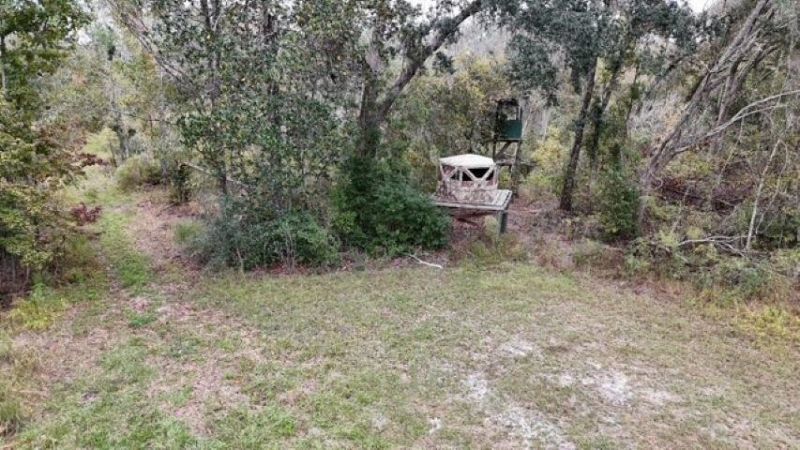 650 NW Florwers Rd Road, Madison, FL 32340 Photo