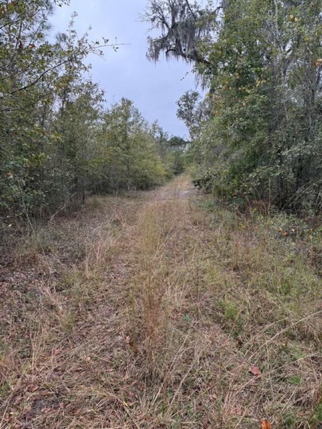 650 NW Florwers Rd Road, Madison, FL 32340 Photo