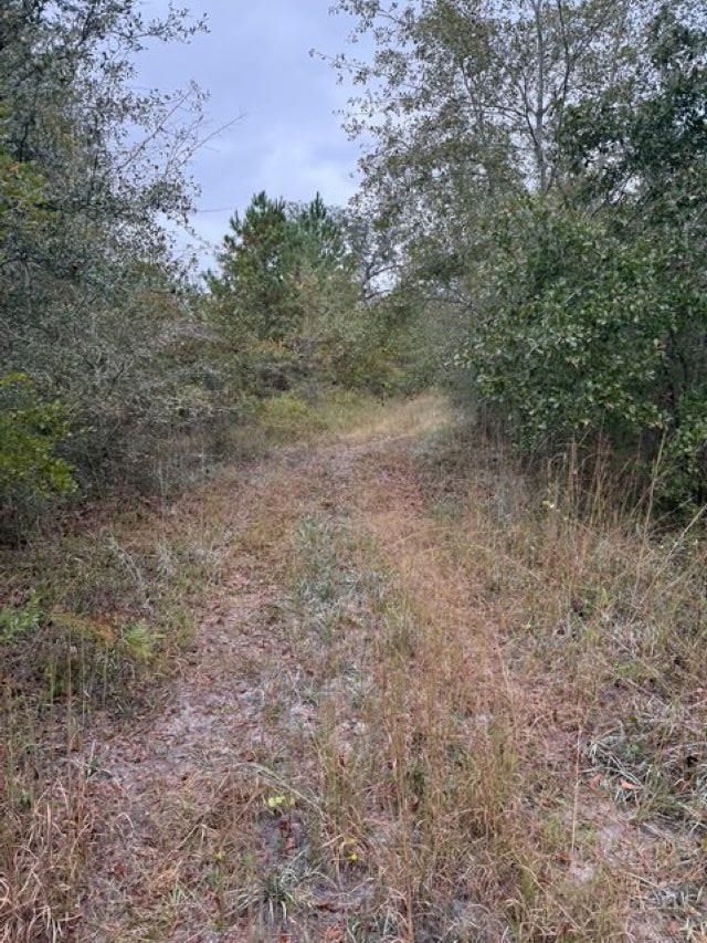 650 NW Florwers Rd Road, Madison, FL 32340 Photo