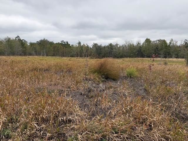 650 NW Florwers Rd Road, Madison, FL 32340 Photo