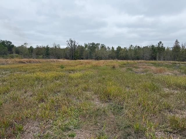 650 NW Florwers Rd Road, Madison, FL 32340 Photo