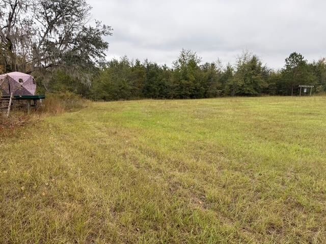 650 NW Florwers Rd Road, Madison, FL 32340 Photo