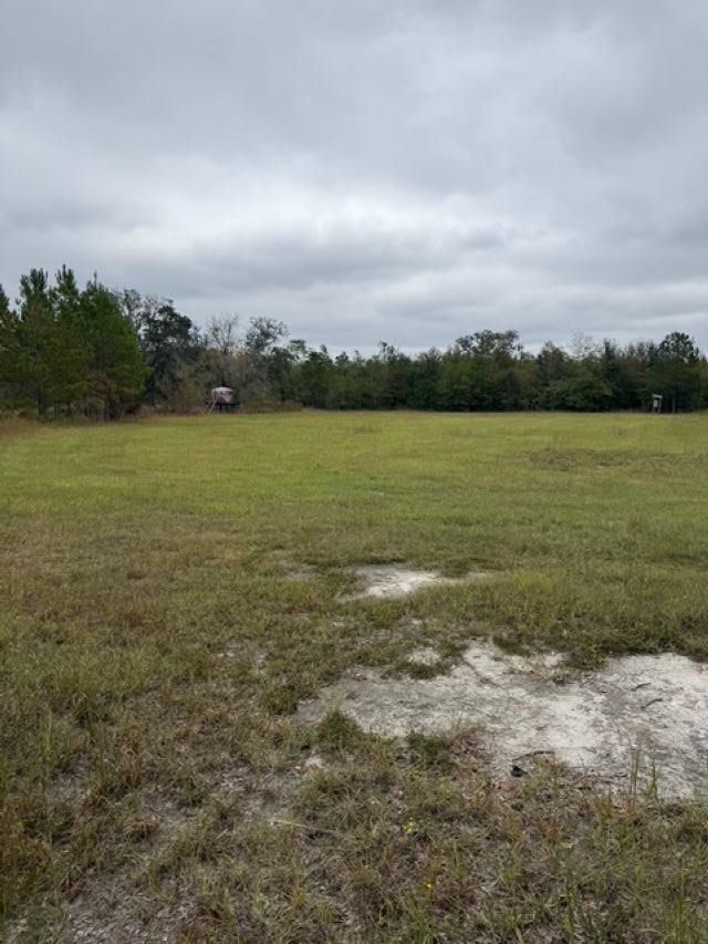 650 NW Florwers Rd Road, Madison, FL 32340 Photo
