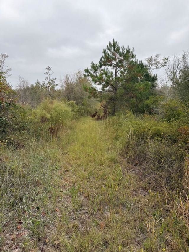 650 NW Florwers Rd Road, Madison, FL 32340 Photo