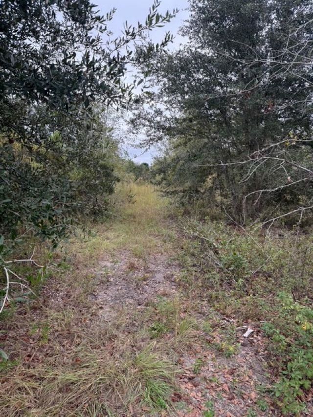 650 NW Florwers Rd Road, Madison, FL 32340 Photo