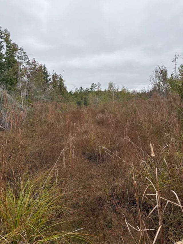 650 NW Florwers Rd Road, Madison, FL 32340 Photo