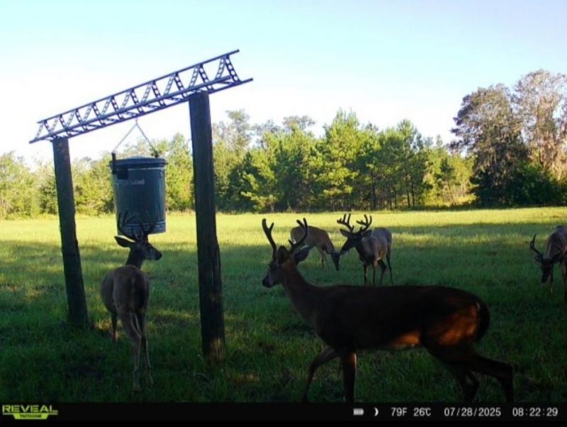 650 NW Florwers Rd Road, Madison, FL 32340 Photo