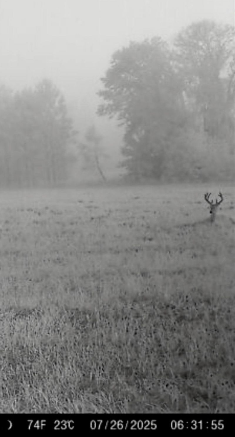 650 NW Florwers Rd Road, Madison, FL 32340 Photo