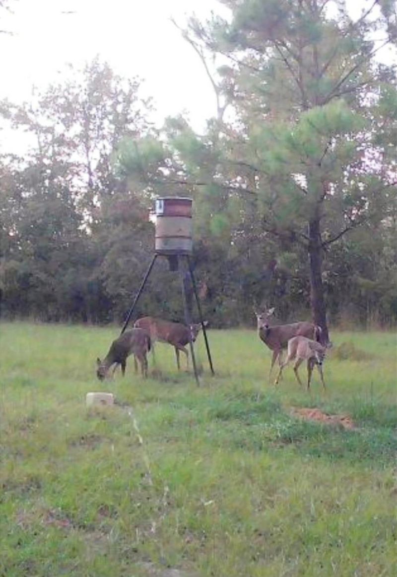 650 NW Florwers Rd Road, Madison, FL 32340 Photo