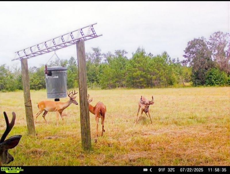 650 NW Florwers Rd Road, Madison, FL 32340 Photo