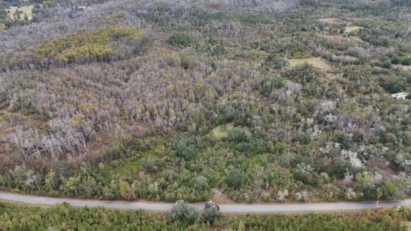 650 NW Florwers Rd Road, Madison, FL 32340 Photo