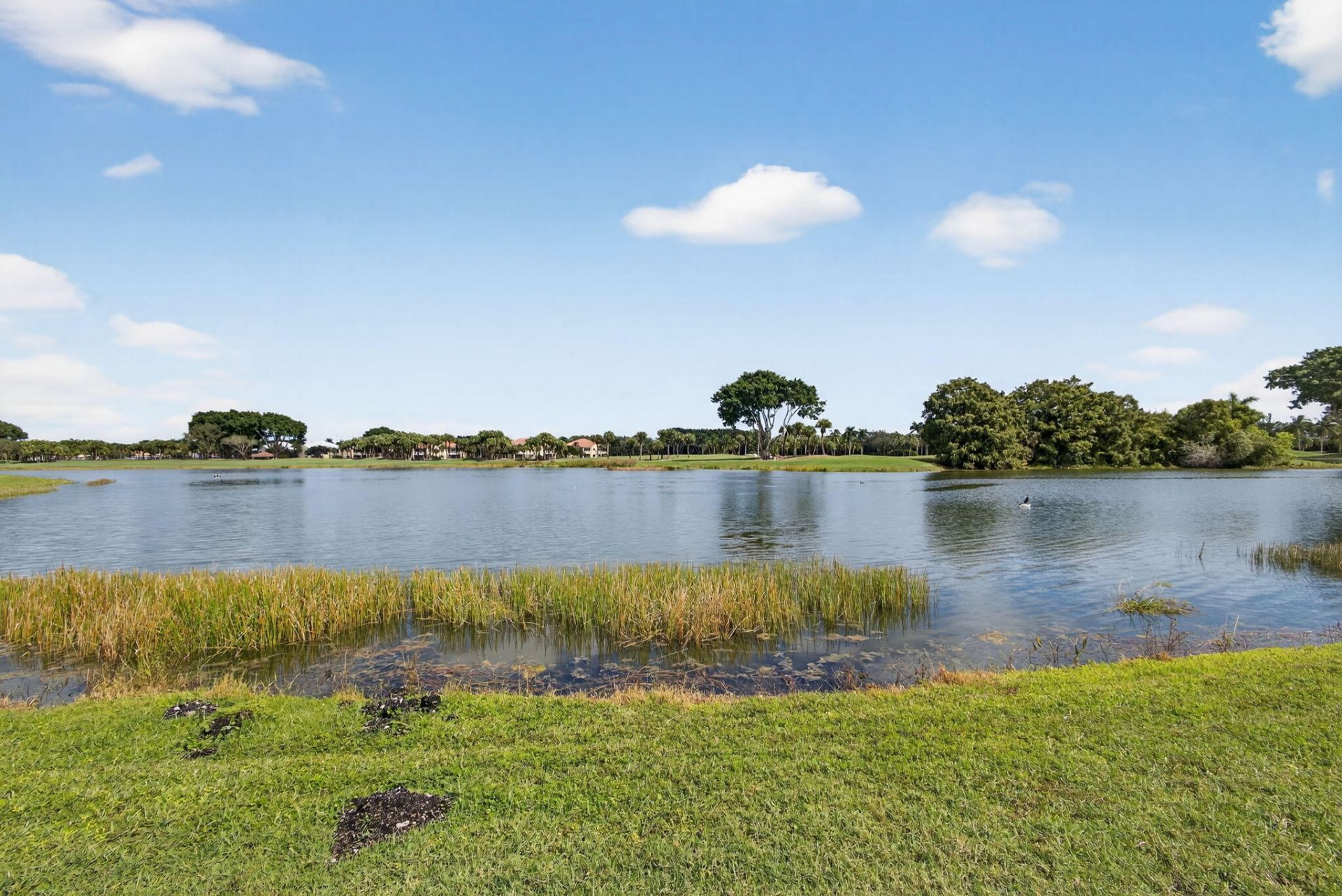 7510 Blue Heron Way, West Palm Beach, FL 33412 Photo