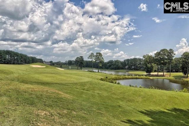 1013 Coogler Crossing Drive Photo 12