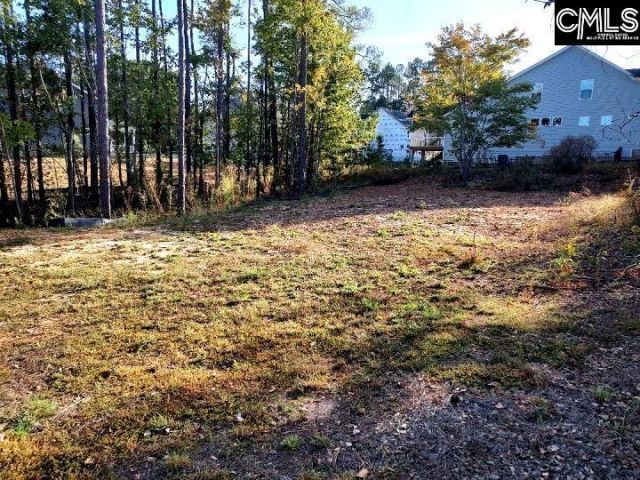 1013 Coogler Crossing Drive Photo 7