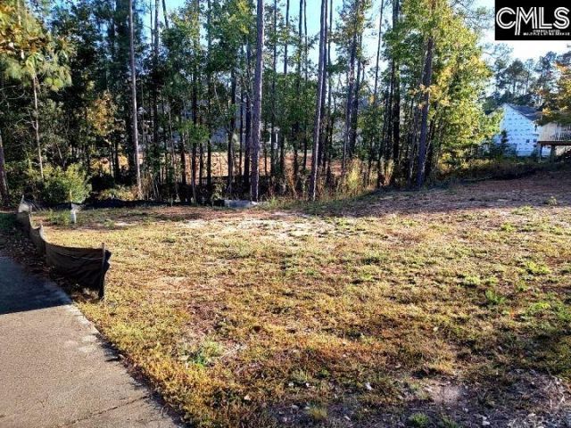 1013 Coogler Crossing Drive Photo 8