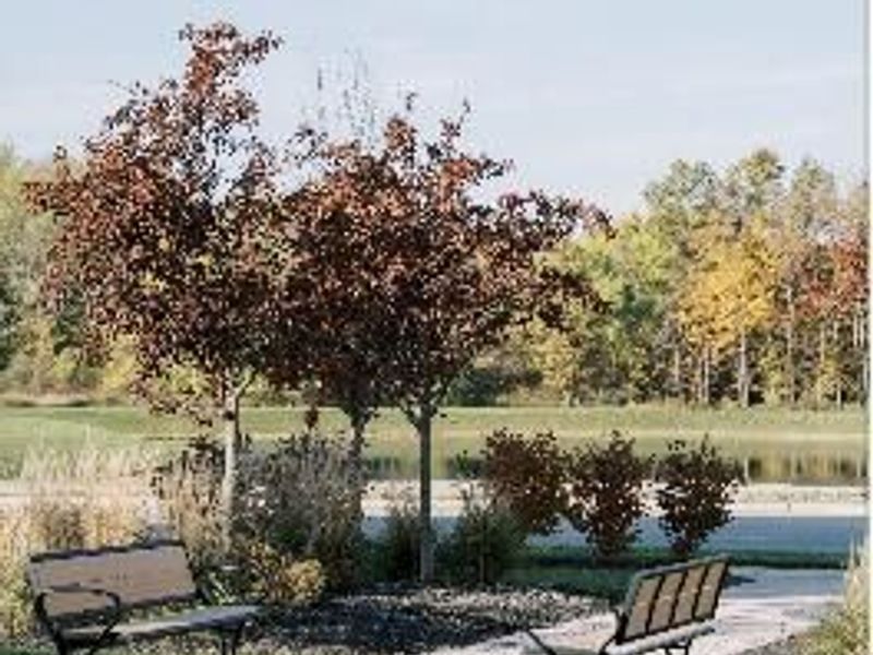 5123 W Maple Drive, Lewis Center, OH 43035 Photo 27