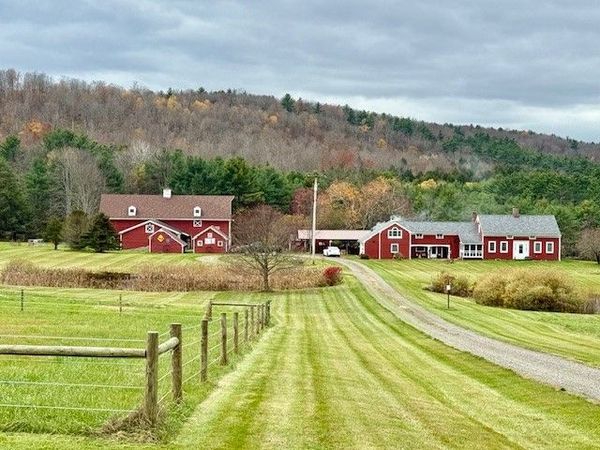 377 Stead Road, South New Berlin, NY 13843