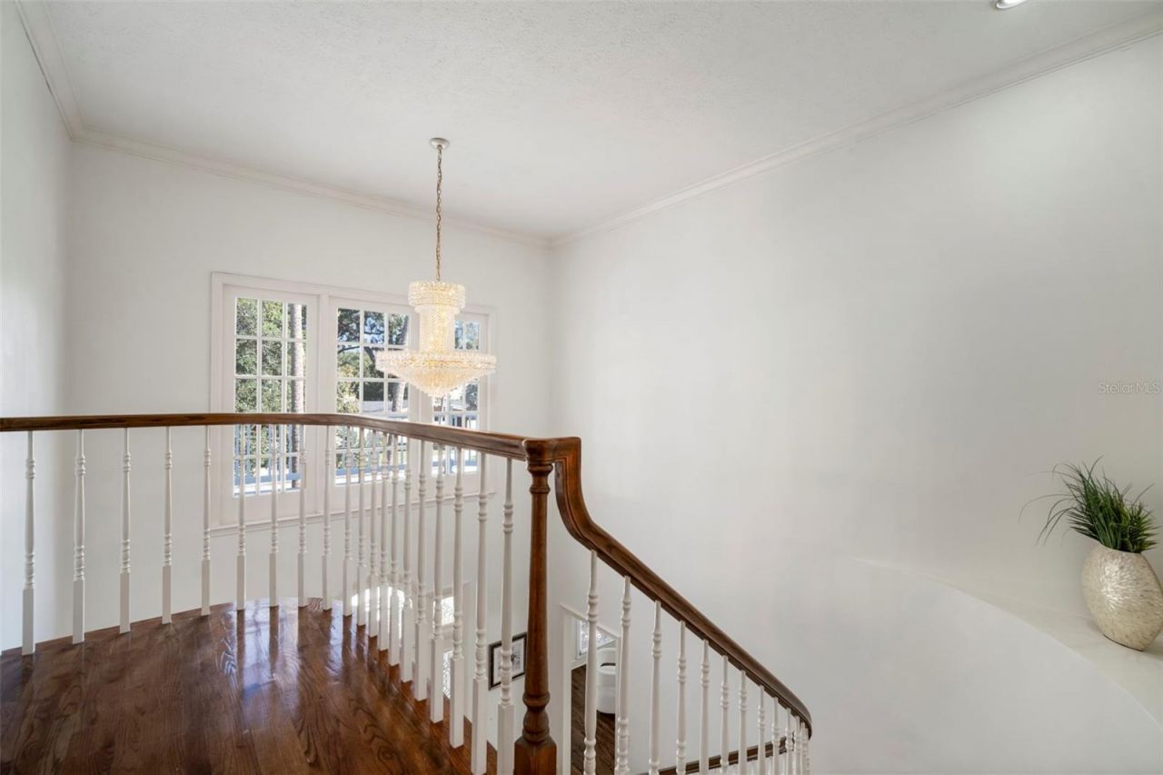 4318 W Azeele Street, Tampa, FL 33609 Photo