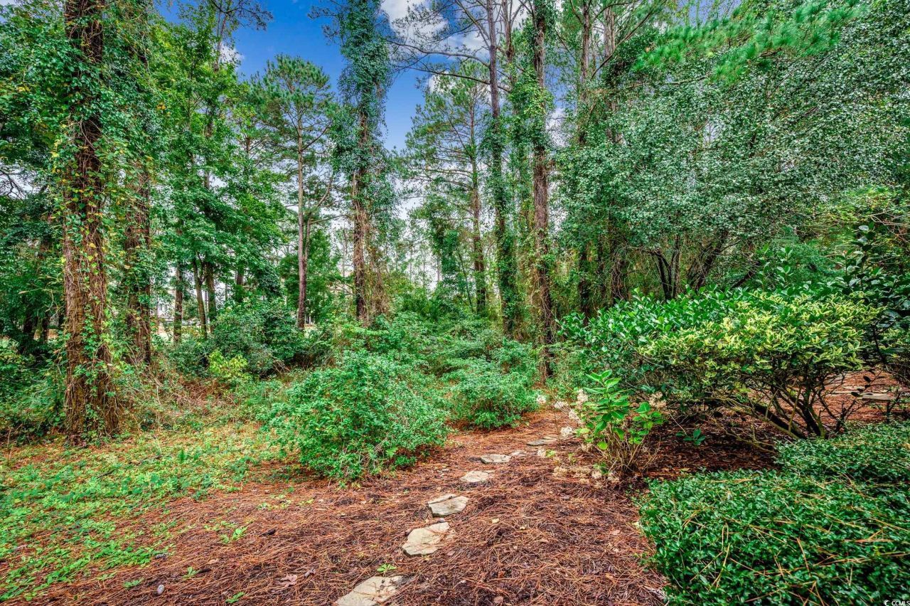 2450 Marsh Glen Dr. Photo 31